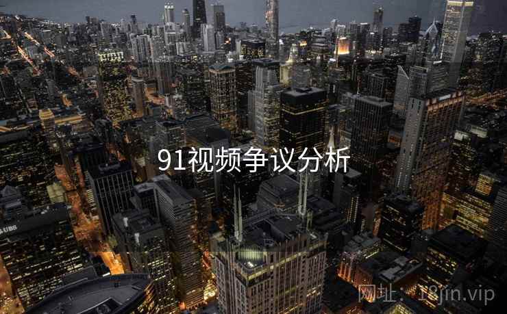 91视频争议分析  第2张