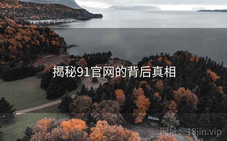 揭秘91官网的背后真相  第1张