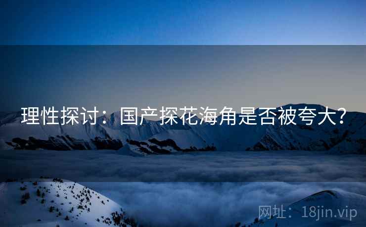 理性探讨：国产探花海角是否被夸大？  第1张