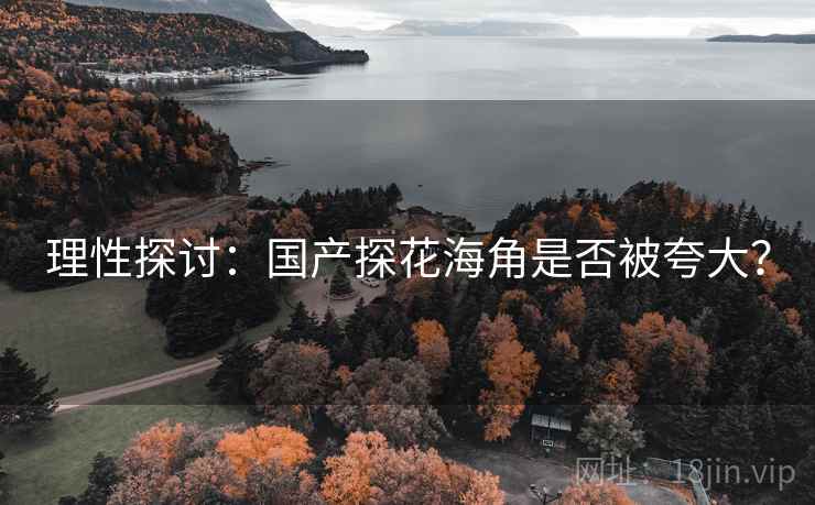 理性探讨：国产探花海角是否被夸大？  第2张