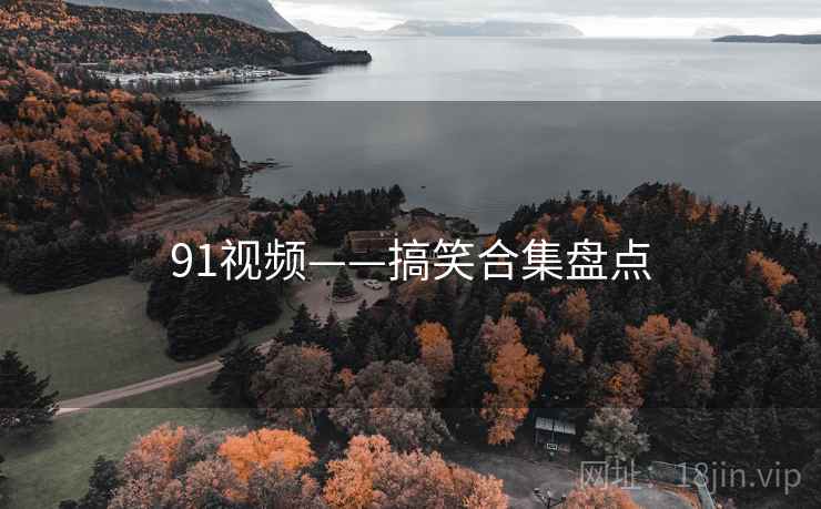 91视频——搞笑合集盘点  第1张