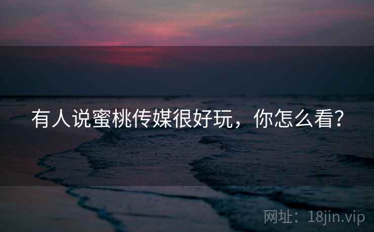 有人说蜜桃传媒很好玩,你怎么看? 第2张 有人说蜜桃传媒很好玩,你怎么看? 第2张